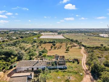 Santa Bárbara de Nexe Algarve 101269127