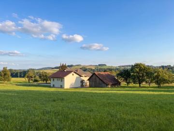 Sacherl mit 4,7ha Grund, Einliegerwohnung und vielen...