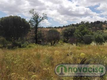 Sale Rural Land Cadalso de los Vidrios
