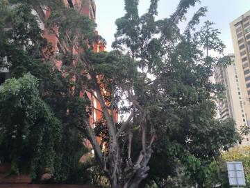 Se vende apartamento 170m2 Los Dos Caminos 7922