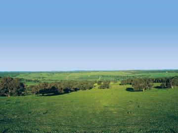 SENSATIONAL LAND SALE! 10,000 Sq M Residential Land