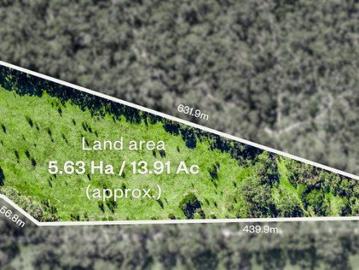 Secluded Acreage in Lush Hinterland Setting