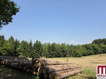 Sonniges Baugrundstück in Naturnaher Lage ihr Platz Für...