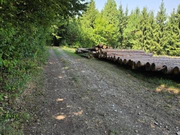 Sonniges Baugrundstück in Naturnaher Lage ihr Platz Für...