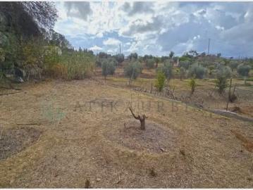 Solar/Parcela en venta en Campanillas, Málaga