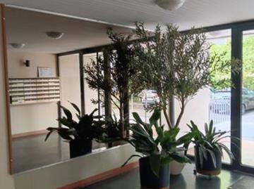 Studio 1 pièce 35 m²