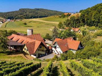 SÜDSTEIRISCHE RARITÄT MIT 33.753 m² GRUND 7 WOHNUNGEN &...